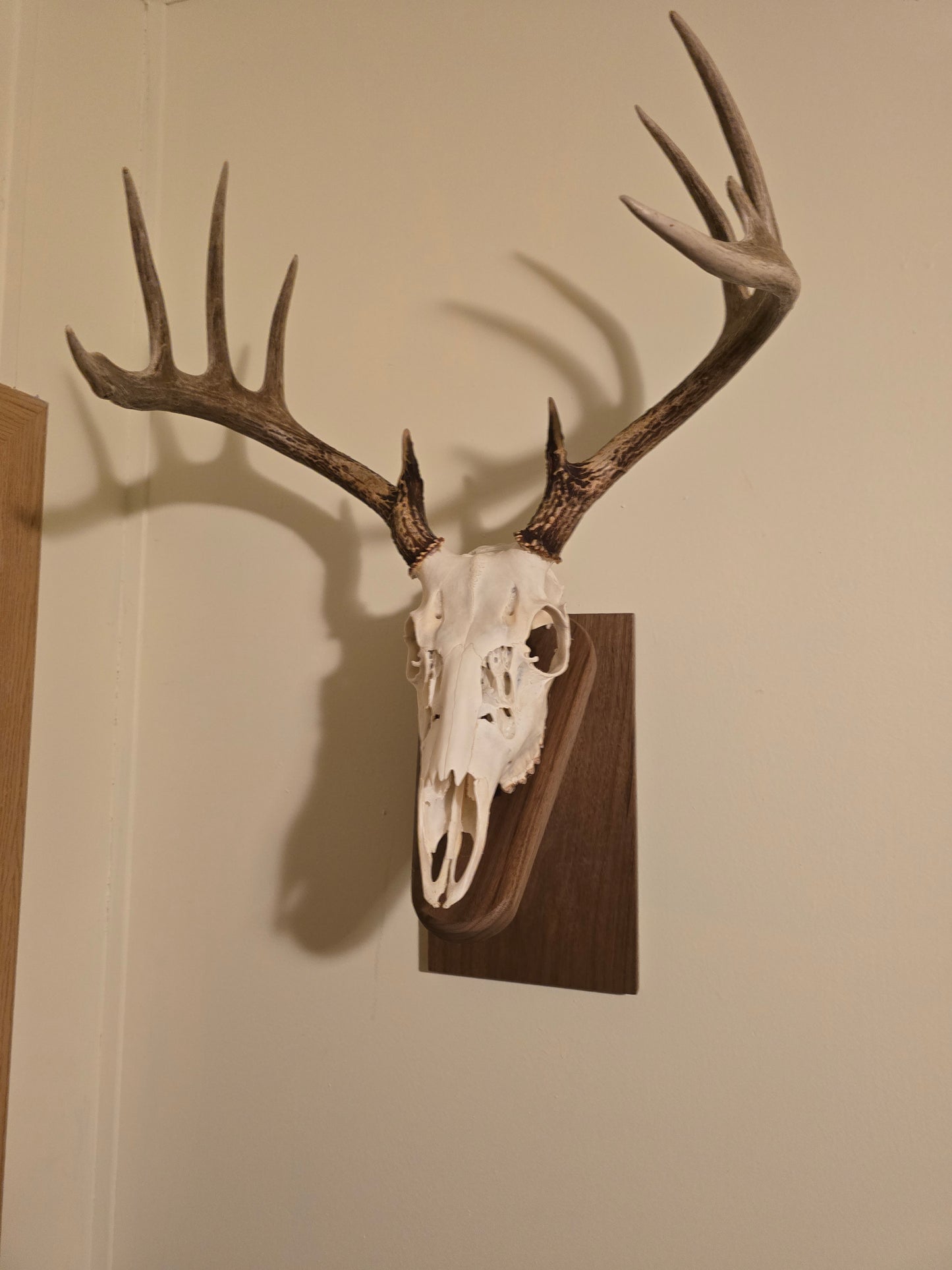 Euro mount plaque mount