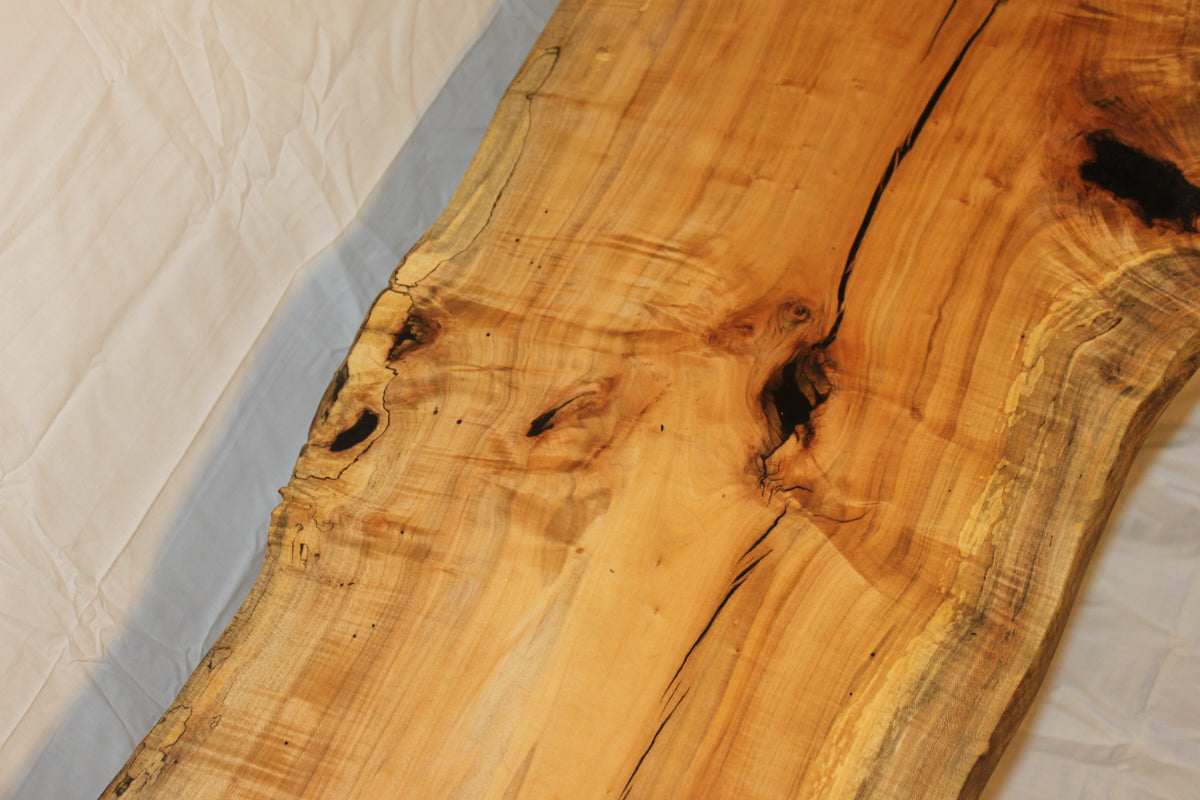 Spalted sycamore live edge coffee table