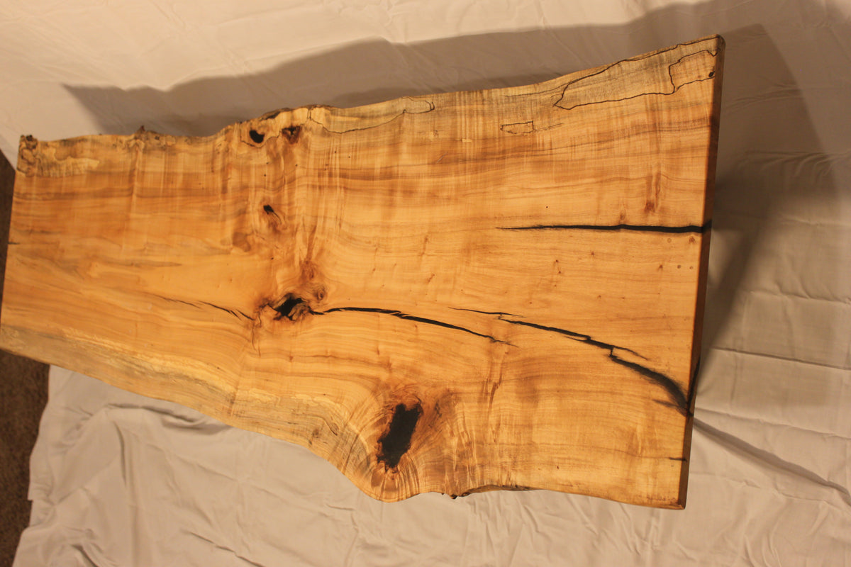 Spalted sycamore live edge coffee table