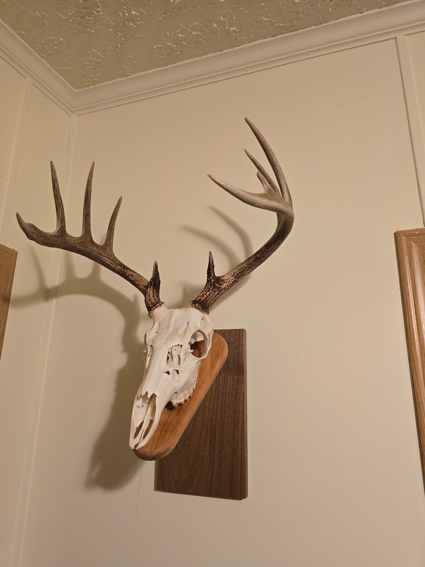 Euro mount plaque mount